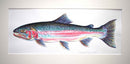 Steelhead