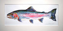 Steelhead study 2
