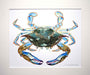 Blue Crab painting