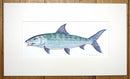 Bonefish original painting