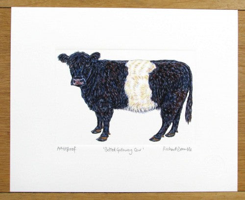 Belted Galloway Cow Print Richard Bramble — Richard Bramble Store