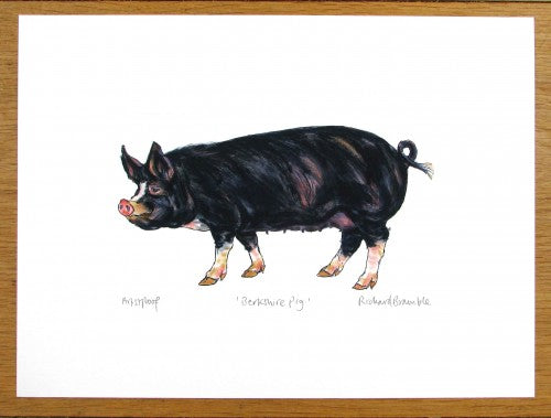 Berkshire Pig Print