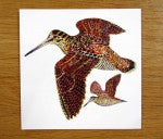 Woodcock Greeting Card Richard Bramble in use