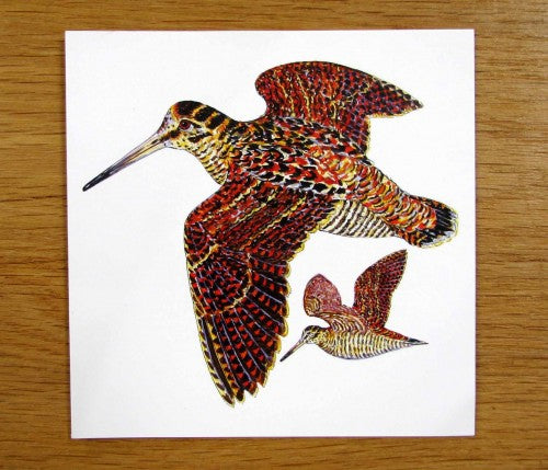 Woodcock Greeting Card Richard Bramble styled on the table