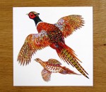 Pheasant Greeting Card Richard Bramble