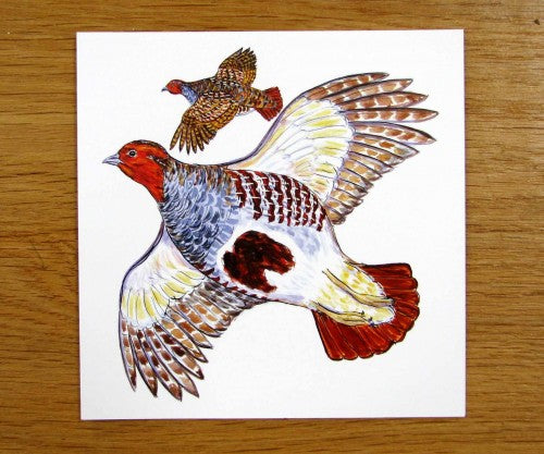 Grey Partridge Greeting Card Richard Bramble styled on the table