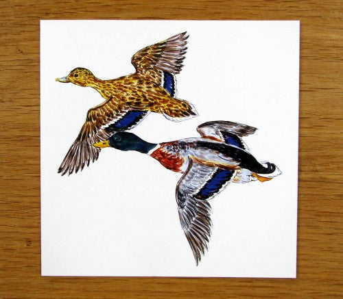Mallard Ducks Greeting Card Richard Bramble