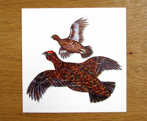 Red Grouse Greeting Card Richard Bramble styled on the table