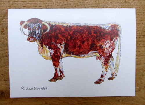 Longhorn Cow Greeting Card Richard Bramble