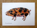 Oxford Sandy and Black Pig Greeting Card