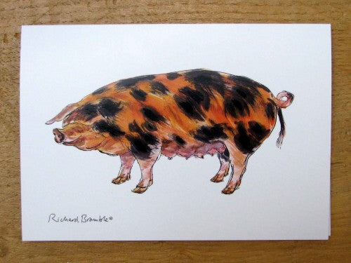 Oxford Sandy Black Pig Greeting Card