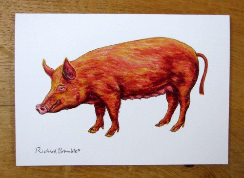 Tamworth Pig Greeting Card Richard Bramble