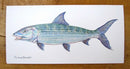 Bonefish Greetings Card