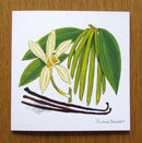 Vanilla Orchid & Pod Greeting Card