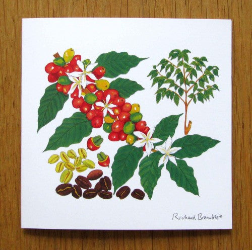 Richard Bramble Coffee Flower, Cherry & Bean Greeting Card (printed to order)
