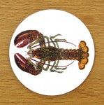 North American Lobster Coaster in use