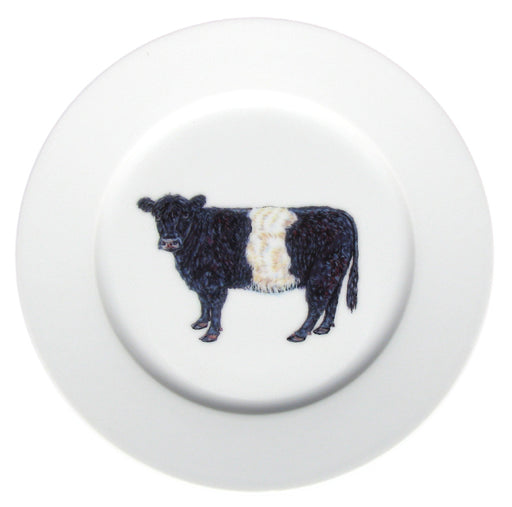 Belted Galloway Cow 19cm Flat Rimmed Plate by Richard Bramble