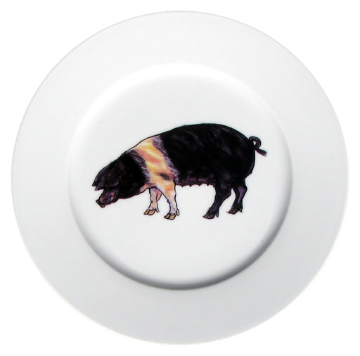 British Saddleback Pig 19cm Flat Rimmed Plate by Richard Bramble