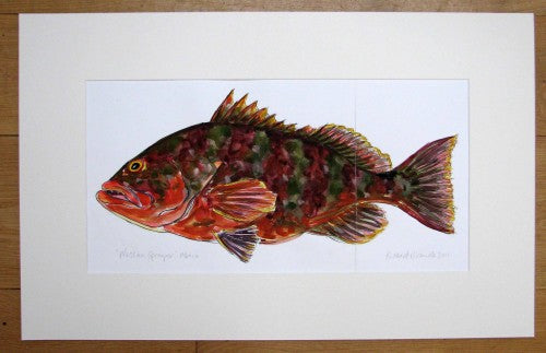 Richard Bramble Nassau Grouper Fish Painting