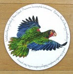 Parrot Tablemat