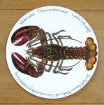 North American Lobster Tablemat