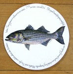 Striped Bass Tablemat