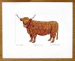 Highland Cow Print (facing left)