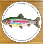 Rainbow Trout Tablemat