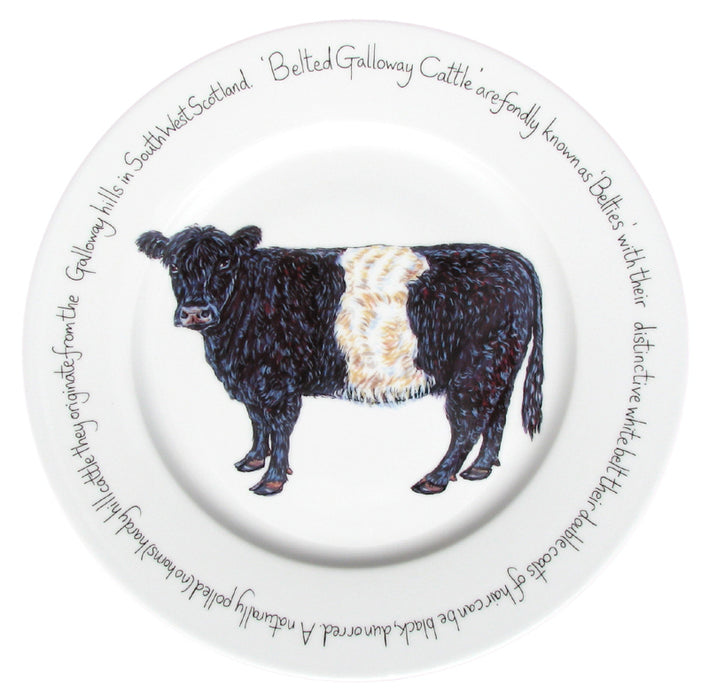 Belted Galloway Cow 30cm Plate by Richard Bramble