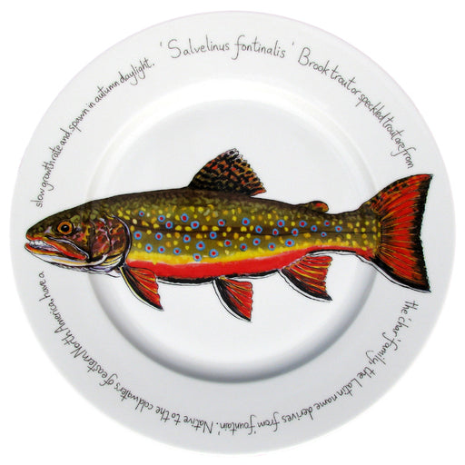 Brook Trout 30cm Plate  by Richard Bramble