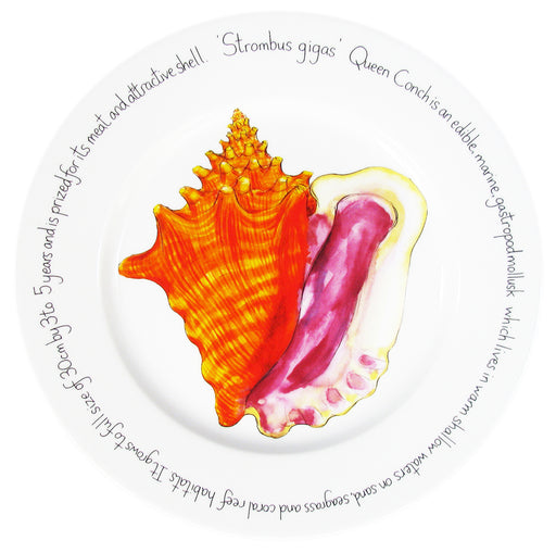 Conch Shell 30cm Flat Rimmed Plate by Richard Bramble