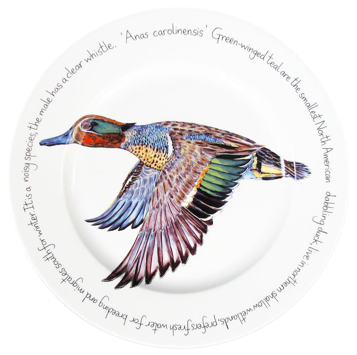 Green-winged Teal 30cm Flat Rimmed Plate