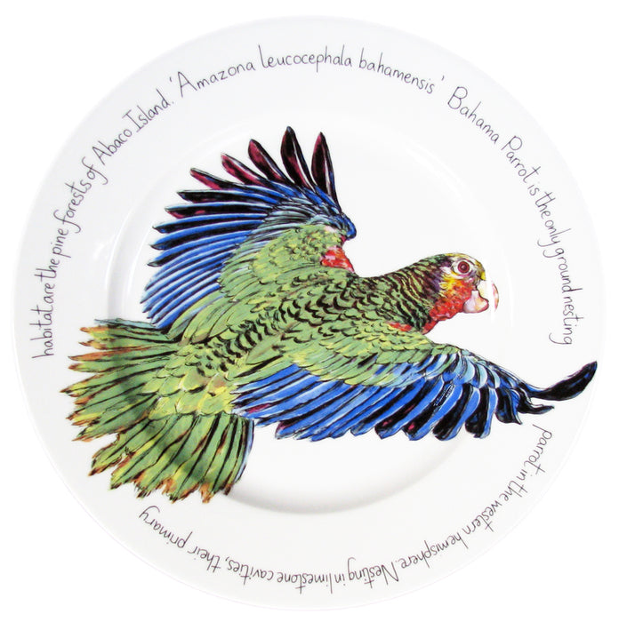 Parrot 30cm plate