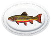 Richard Bramble Brook Trout Oval Plate