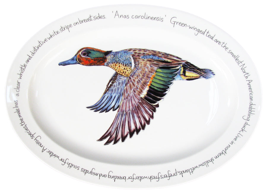 39cm Oval Green-winged Teal 