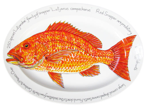 39cm Oval Red Snapper