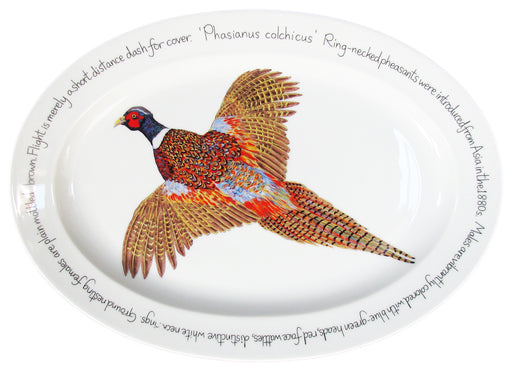 39cm Oval Ring-necked Pheasant