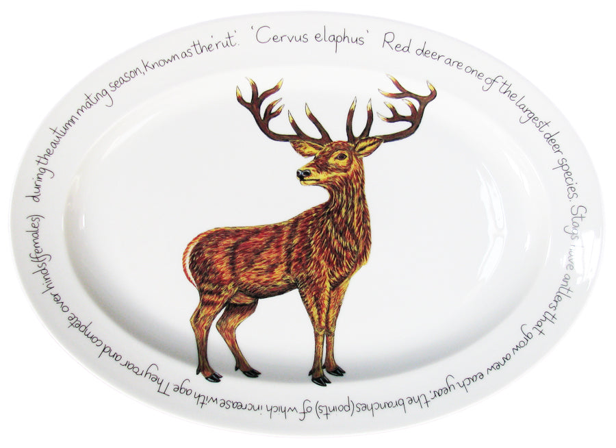 39cm Oval Stag Standing