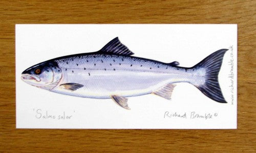 Richard Bramble Salmon Greeting Card