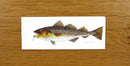 Richard Bramble Cod Notelets pack of 5