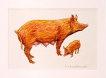 Tamworth Pig Original Painting