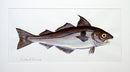 Haddock painting
