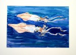 Two Squid Study I Original Painting