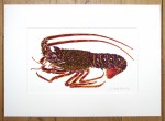 Spiny Lobster and Crayfish 2 Painting