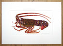 Spiny Lobster and Crayfish painting