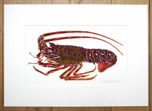 Spiny Lobster and Crayfish 2 Painting