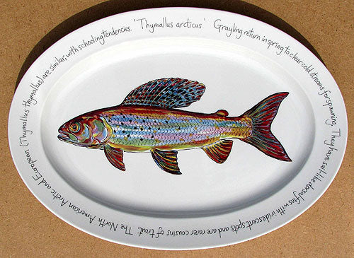 Arctic Grayling 39cm (15.4") Oval Plate