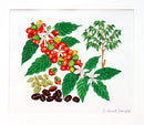 Coffee Original Painting