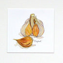 Elephant Garlic Original Watercolour Painting