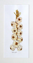 Garlic Plait Original Painting